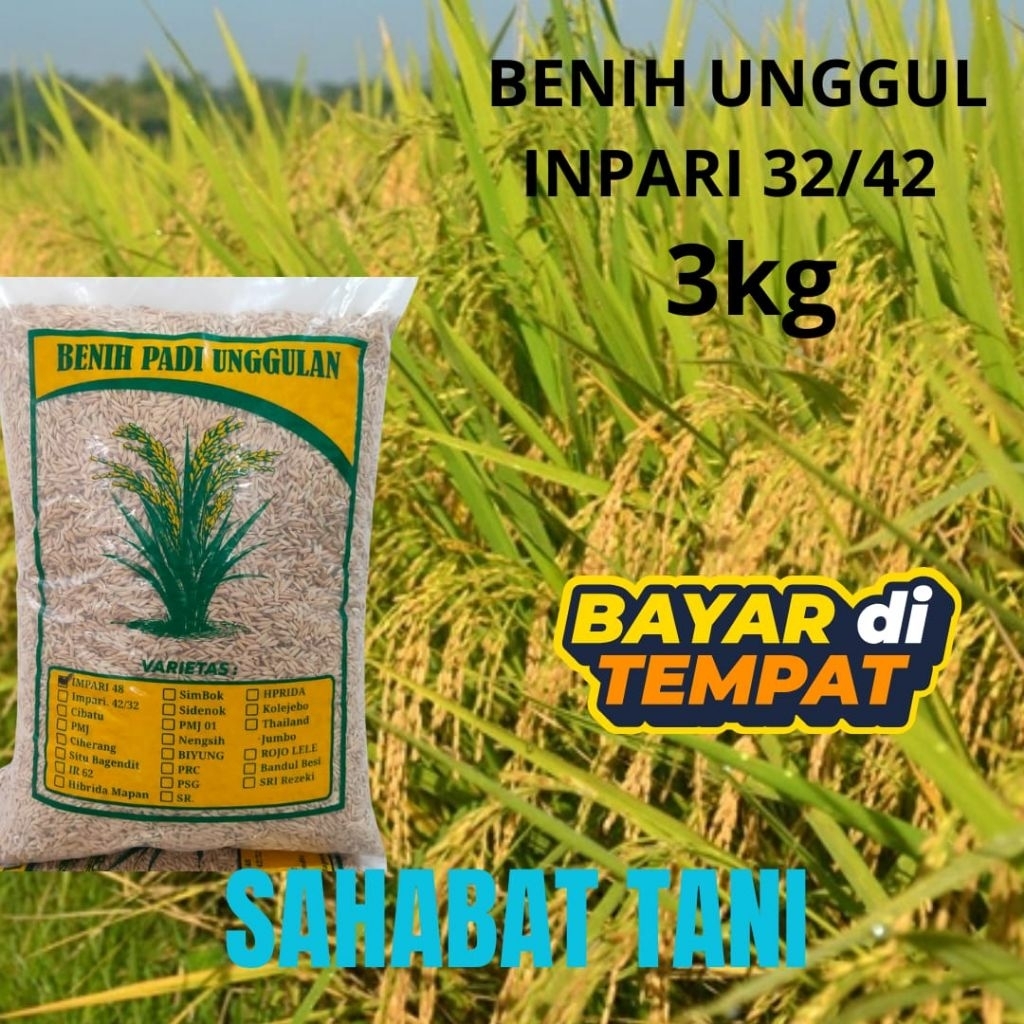 benih padi inpari 32 . impari 32 kemasan 3kg benih padi super unggul inpari 32