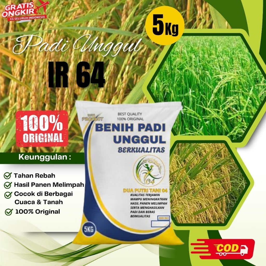 BIBIT PADI UNGGUL IR 64 KEMASAN 5KG