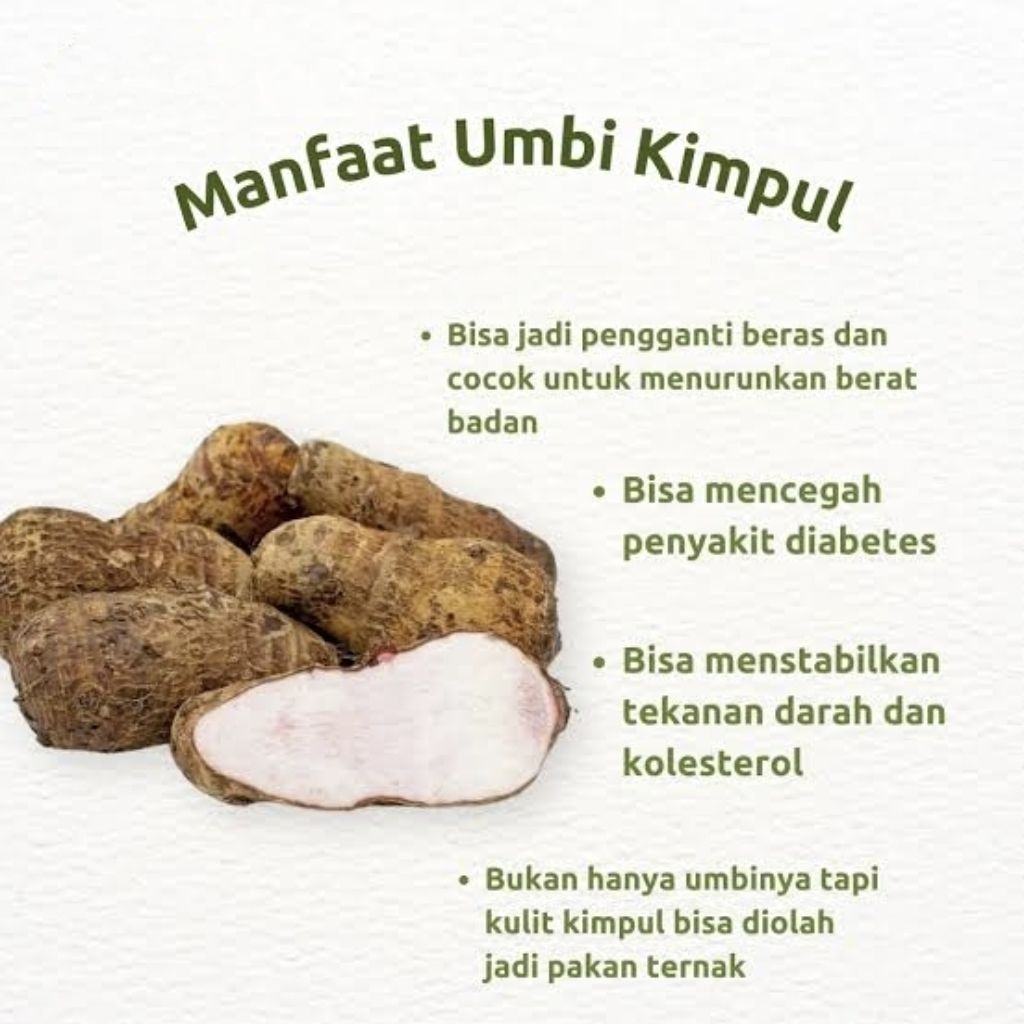 Umbi Talas Pulen Talas Kimpul 500g / Umbi Talas Pulen Talas Kimpul 500kg