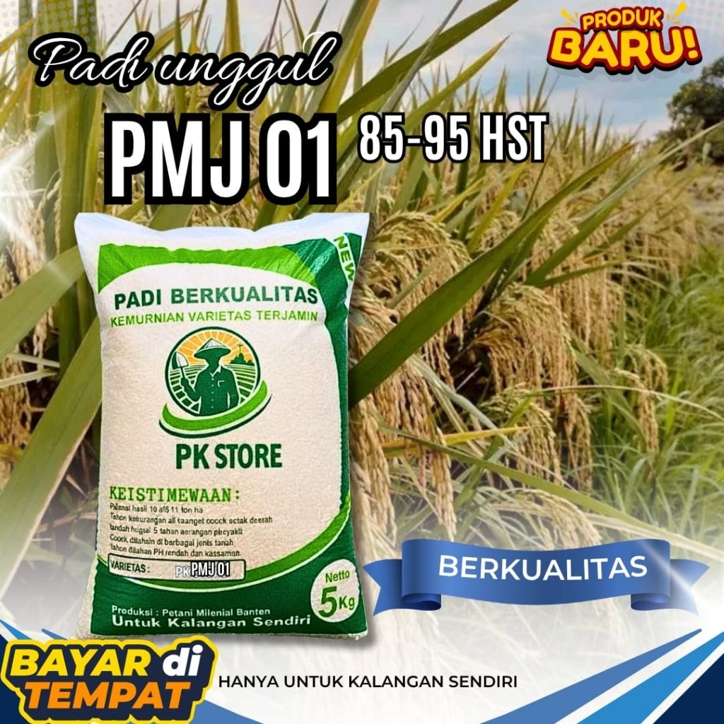 Benih padi PMJ 01 Kemasan 5kg