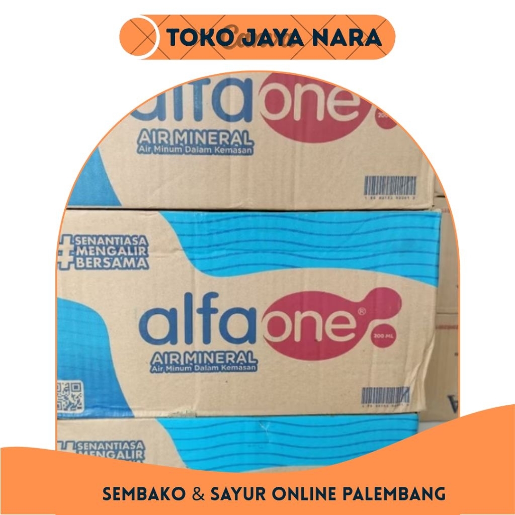 ALFA ONE CUP 1 DUS