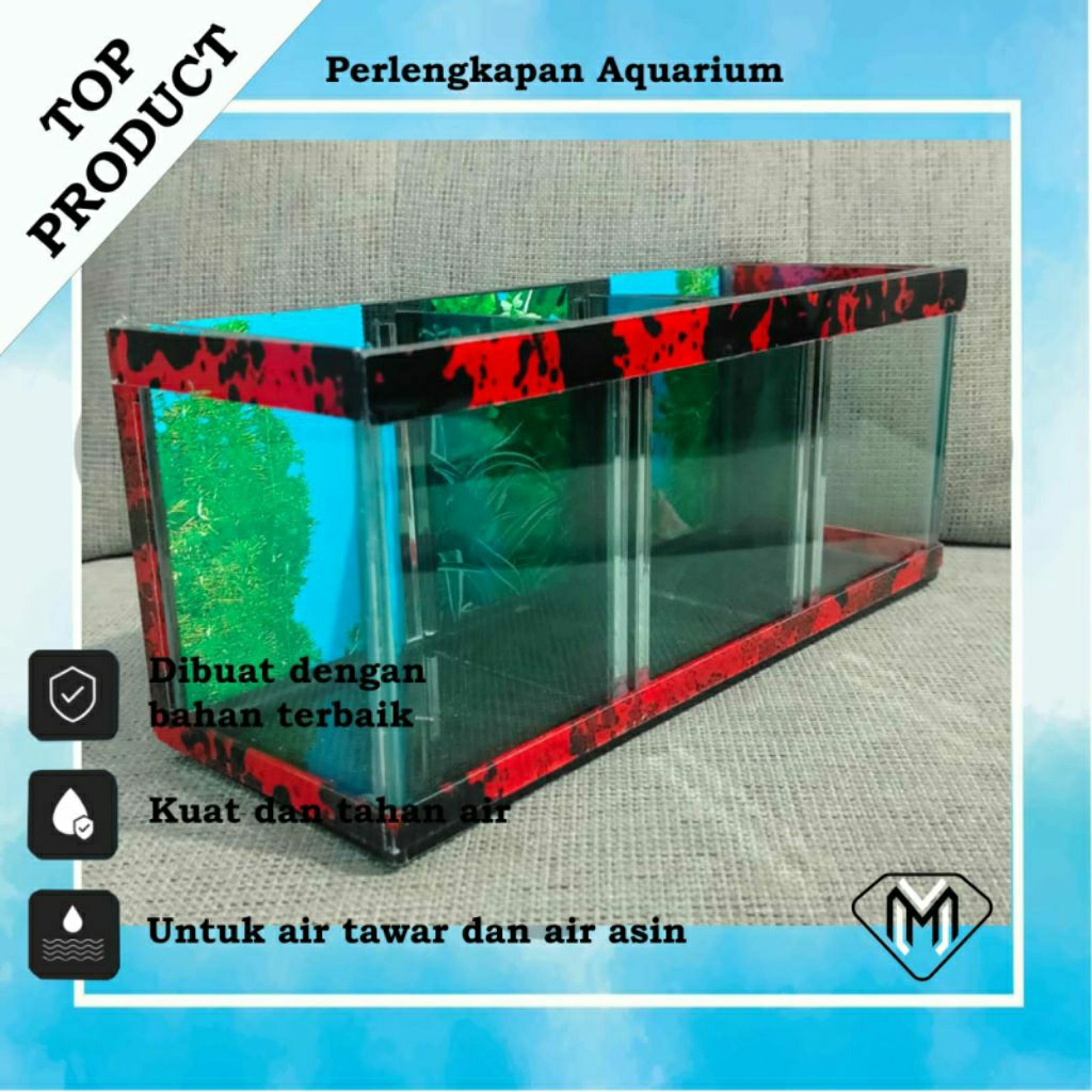 AQUARIUM IKAN CUPANG SEKAT 3 / AQUARIUM MINI 3 KAMAR / AQUARIUM MINIMALIS
