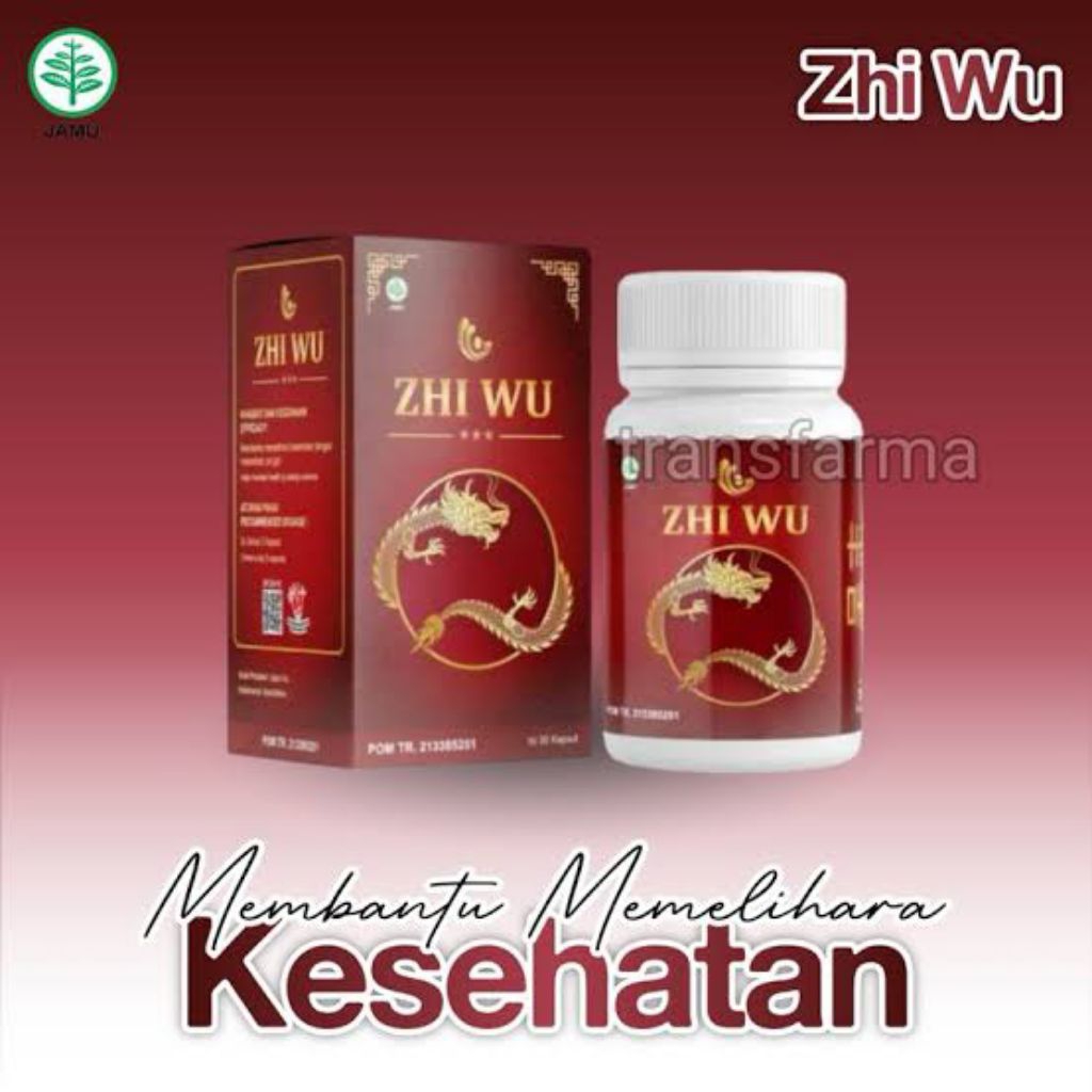 Zhi Wu Obat Cina Untuk Asam Urat Nyeri Sendi Saraf Kejepit Jamu Herbal Alami BPOM Original Alami Isi