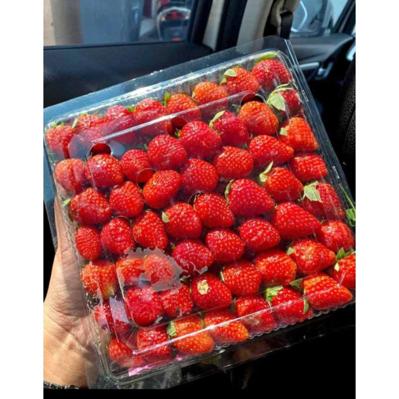 Strawberry fresh 1kg,strawberry fresh all grade, strawberry, stroberi segar murah grosir