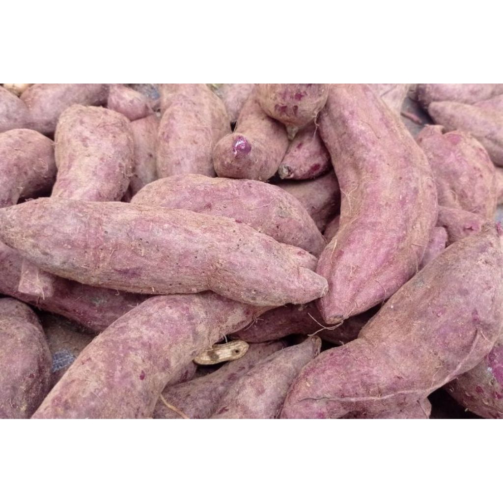 Ubi Jalar/Ubi Ungu 1 kg