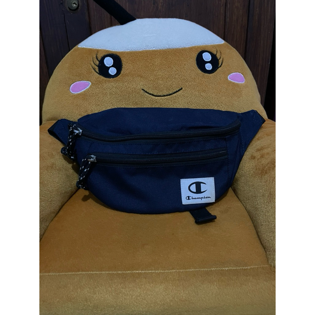 Tas WB Champion Second