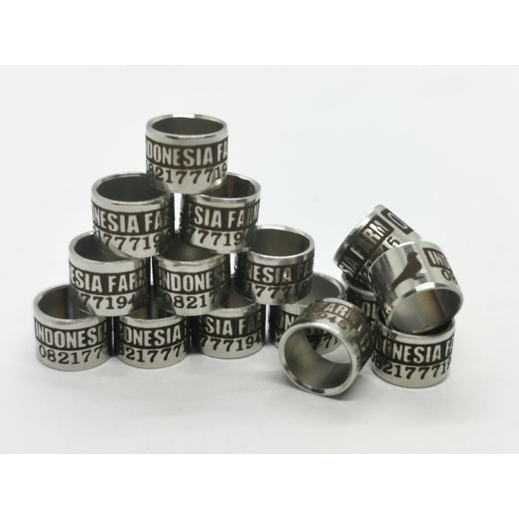 RING BURUNG BAJA VARIASI 19 PUTER PELUNG DERKUKU 7MM 6.5MM