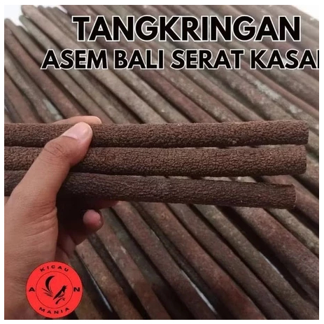 Tangkringan / pangkringan Asem Jawa Super