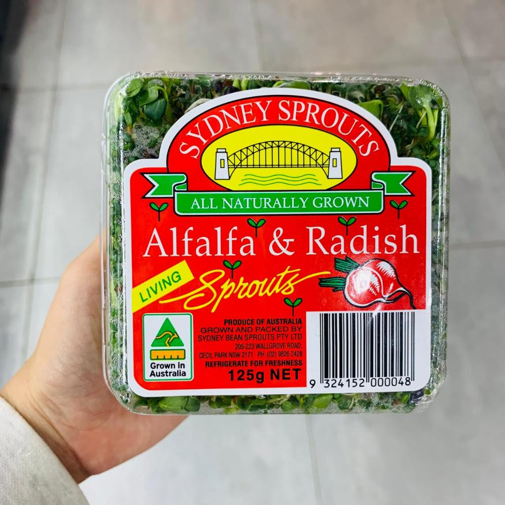 Sydney sprout - mustard & alfalfa sprouts import daun kecambah