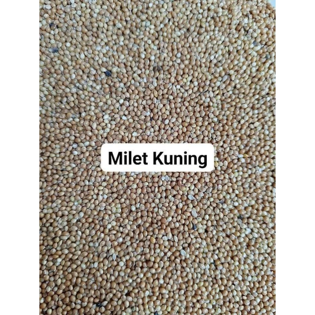 milet kuning 1kg