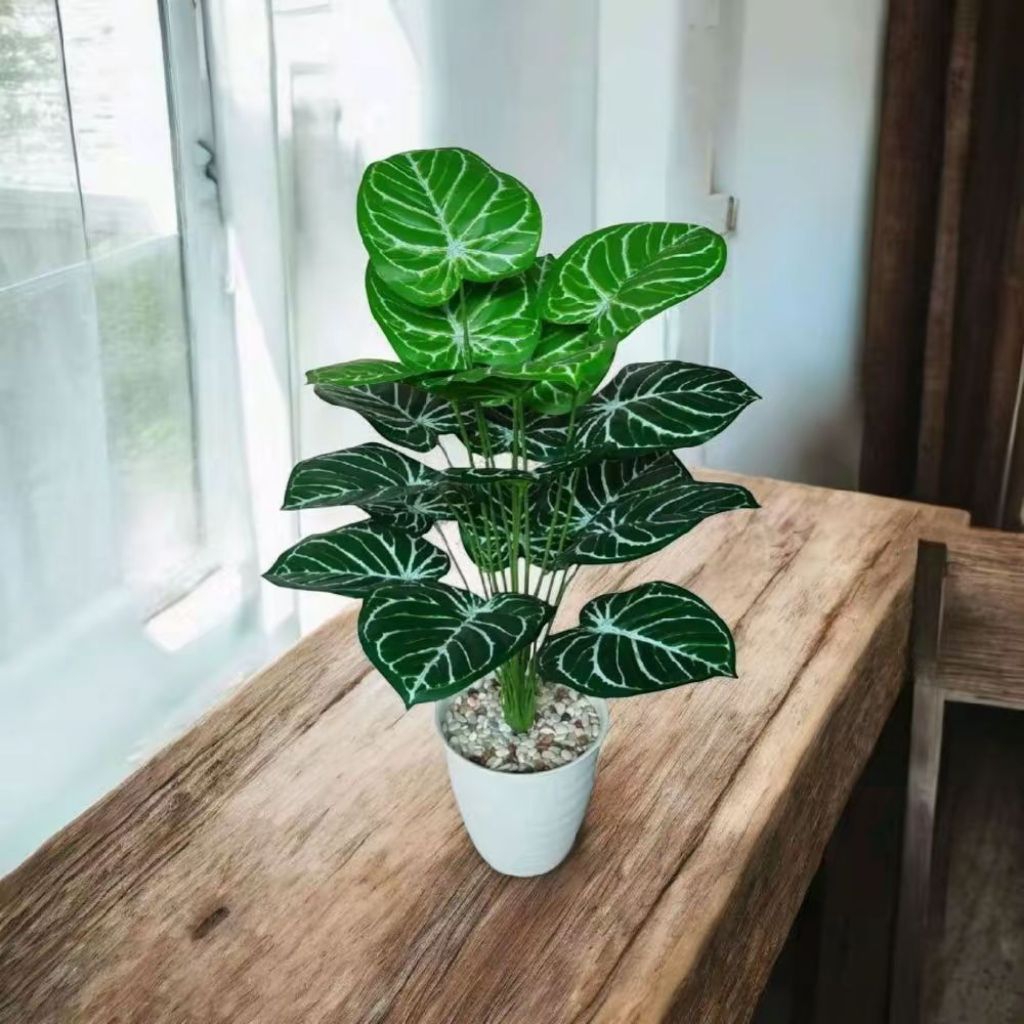 daun artificial kuping gajah sudah dengan pot