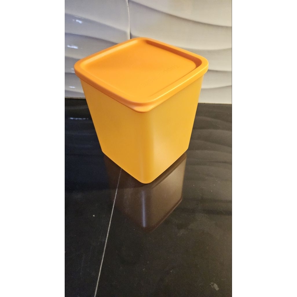 orange large summer fun tupperware