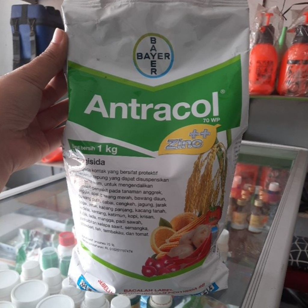 Fungisida Antracol 1kg