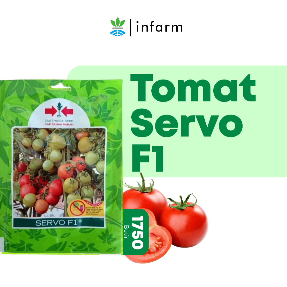 INFARM - Bibit Tomat Servo F1 Benih Tomat Servo F1 1750 Butir Original, Benih Buah Tomat Servo Bibit