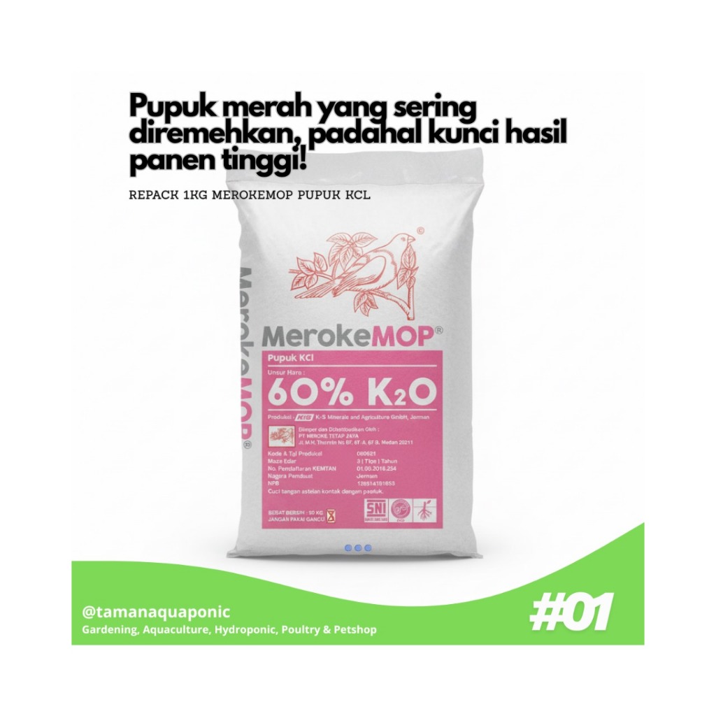 Pupuk KCL untuk Tanaman Repack 1 kg
