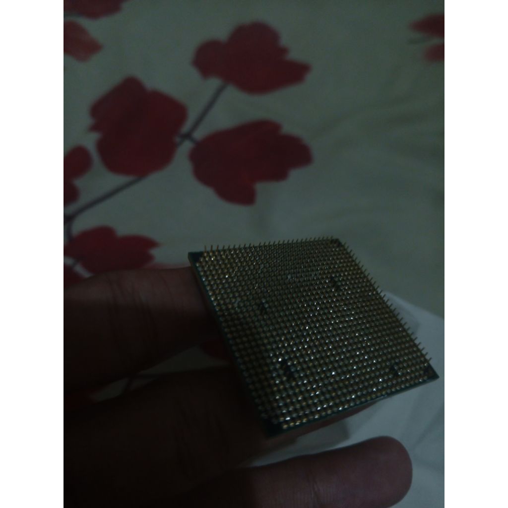 prosesor AMD bekas normal