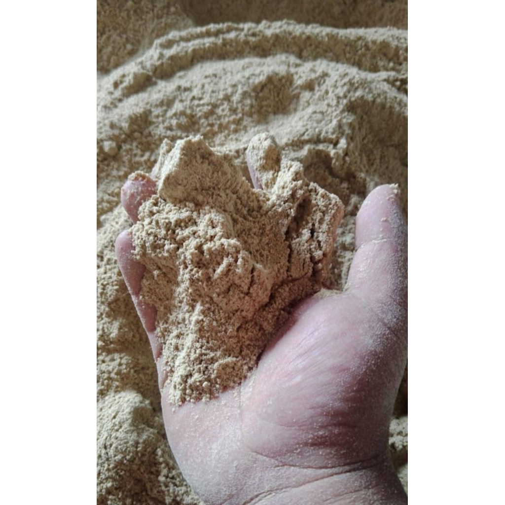 Dedak katul pakan hewan bekatul padi bekatul Fress katul makanan ungas