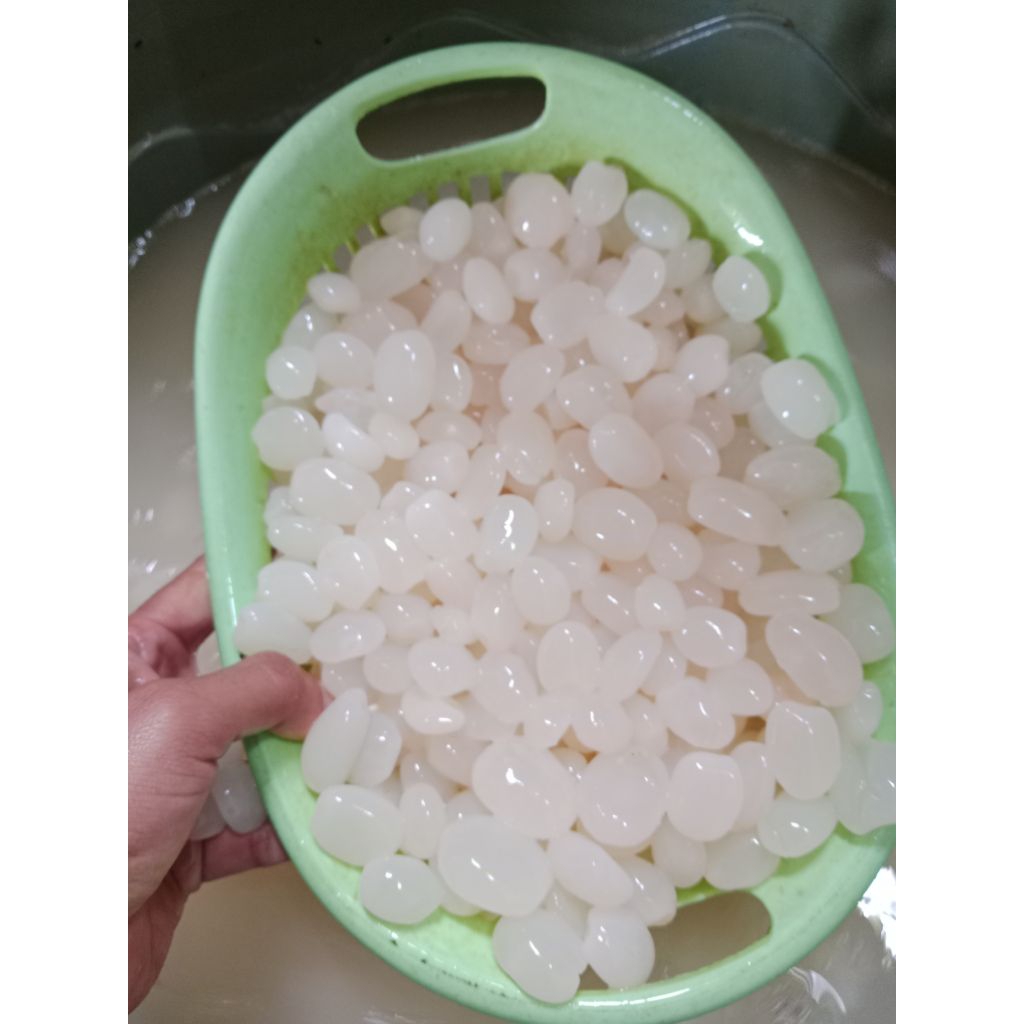 kolang kaling fres 1 kg   kolang kaling muda tidak di geprek