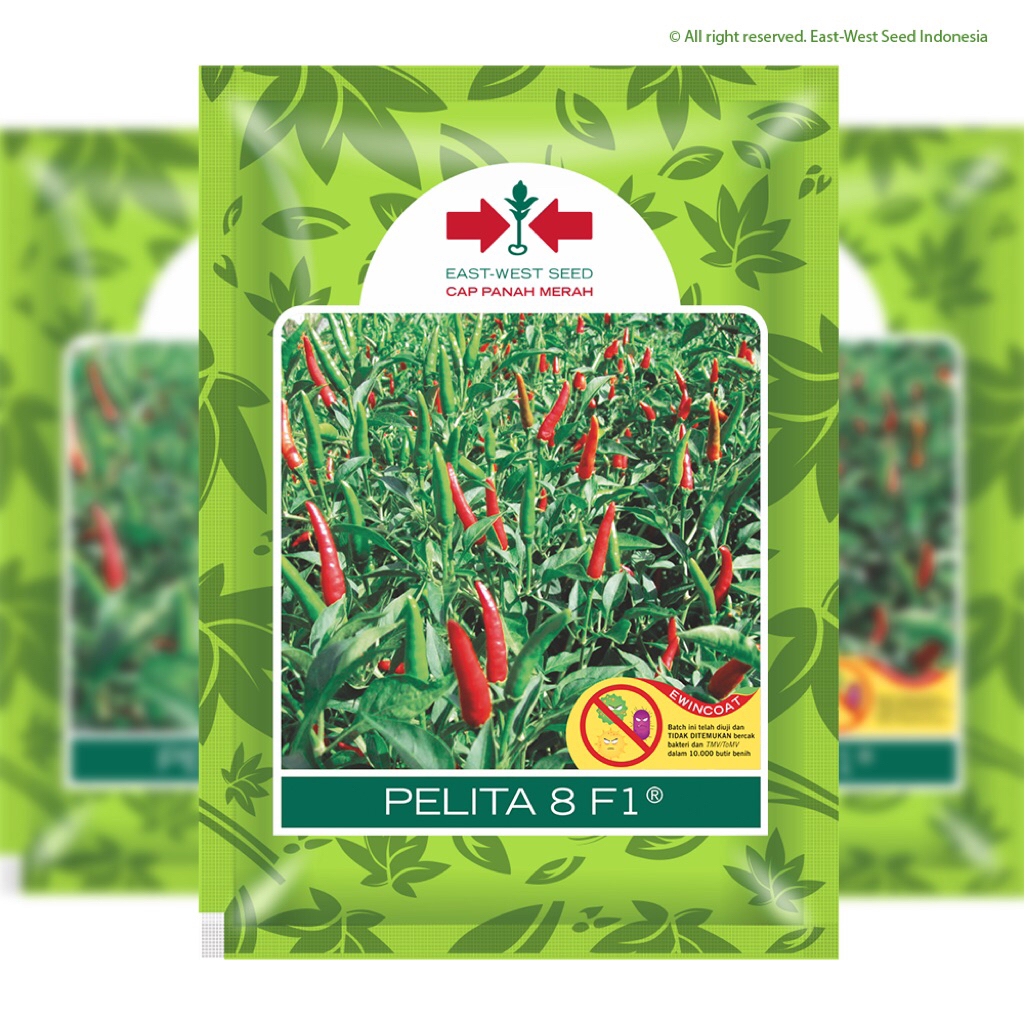 Benih Pelita 8 F1 2250 biji (Cabai Rawit)