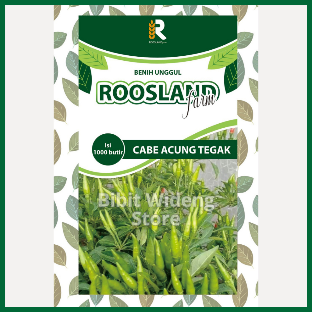( 1.000 BENIH ) CABE RAWIT ACUNG CAPLAK | RAWIT TEGAK | RAWIT HIJAU ACUNG