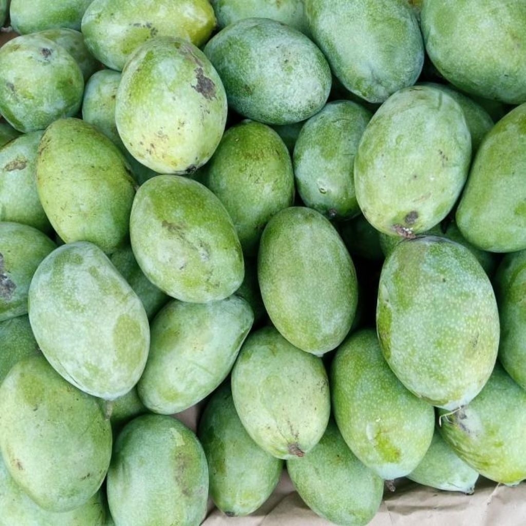 Mangga manalagi/madu
