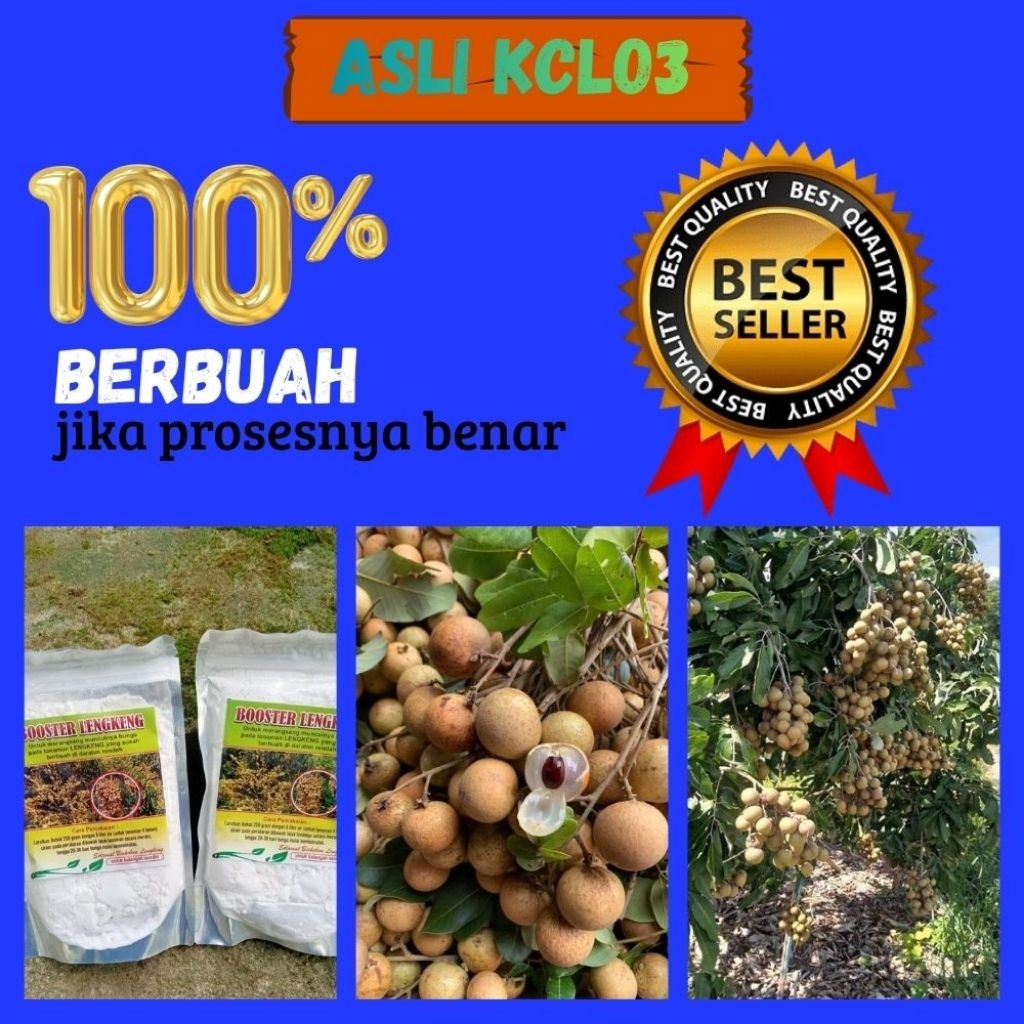 Booster Kelengkeng 1Kg