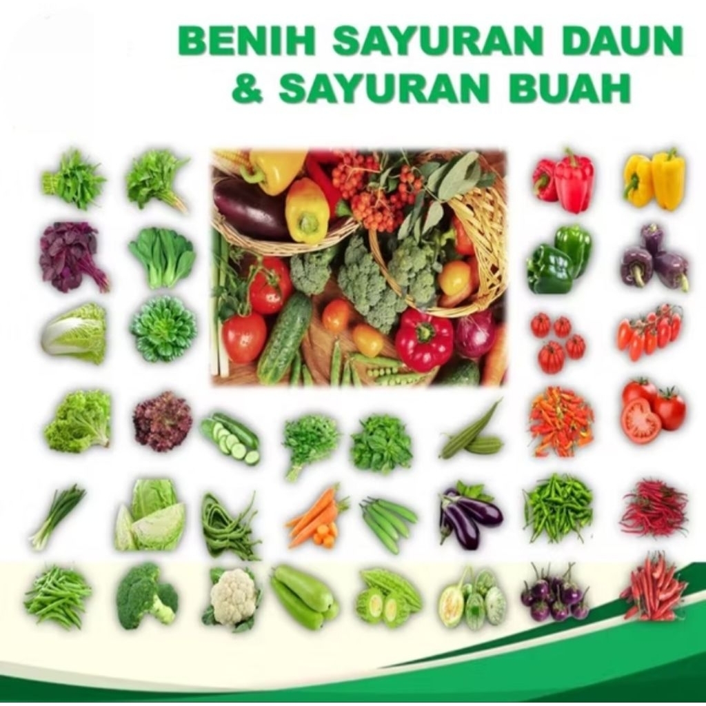BENIH BIBIT SAYUR RUMAHAN