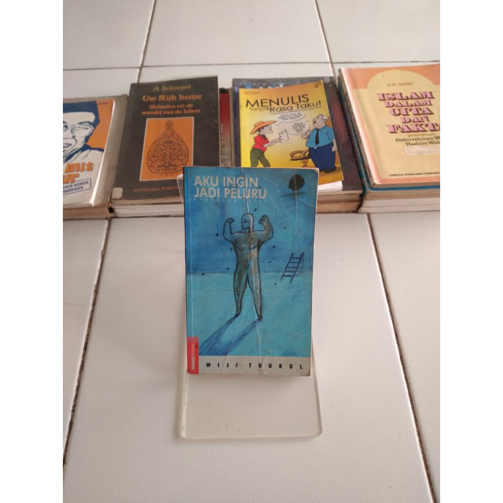 aku ingin jadi peluru kumpulan puisi