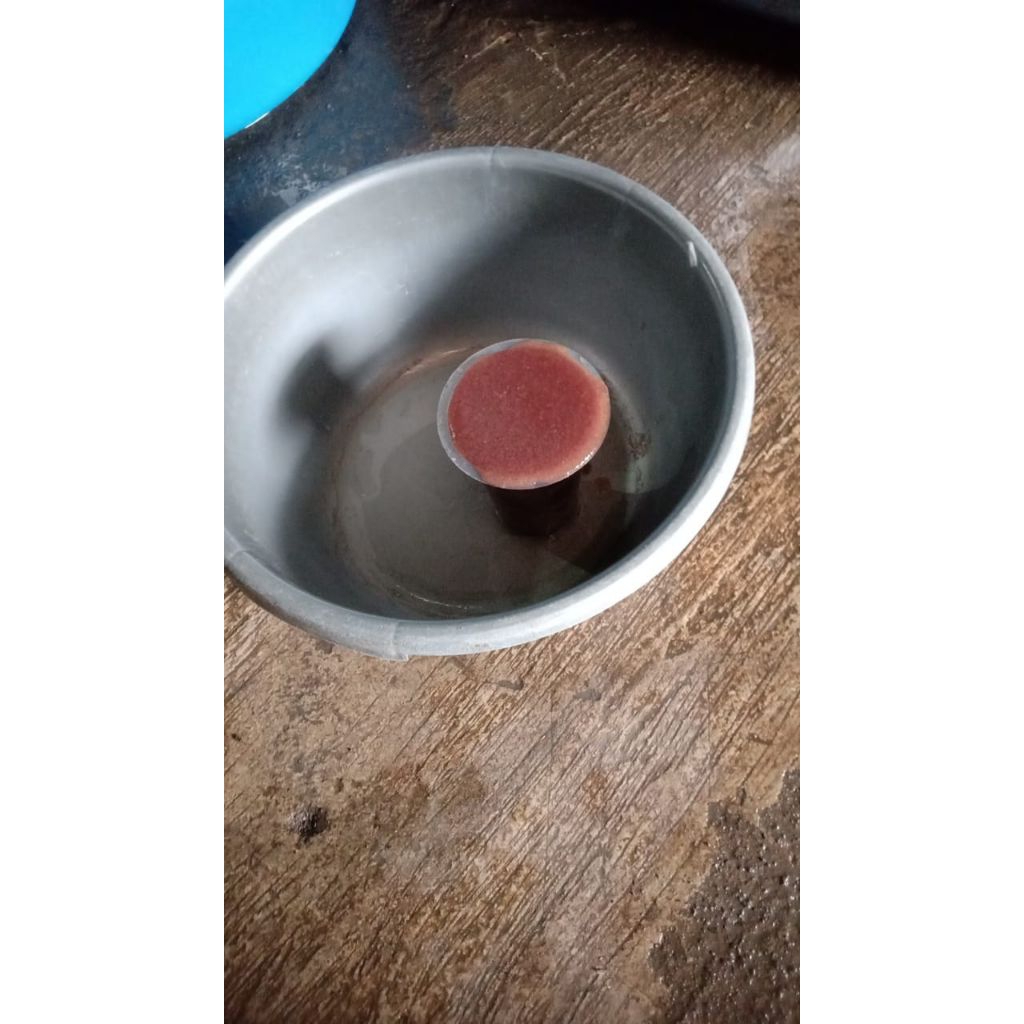 Kutu air hidup 1 gelas