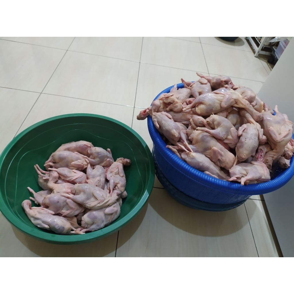 Daging Manuk Puyuh