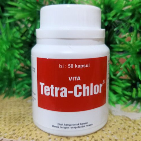 Vita Tetra Chlor 50 Kapsul Medion / Multivitamin Mineral / obat Ayam / MEDION