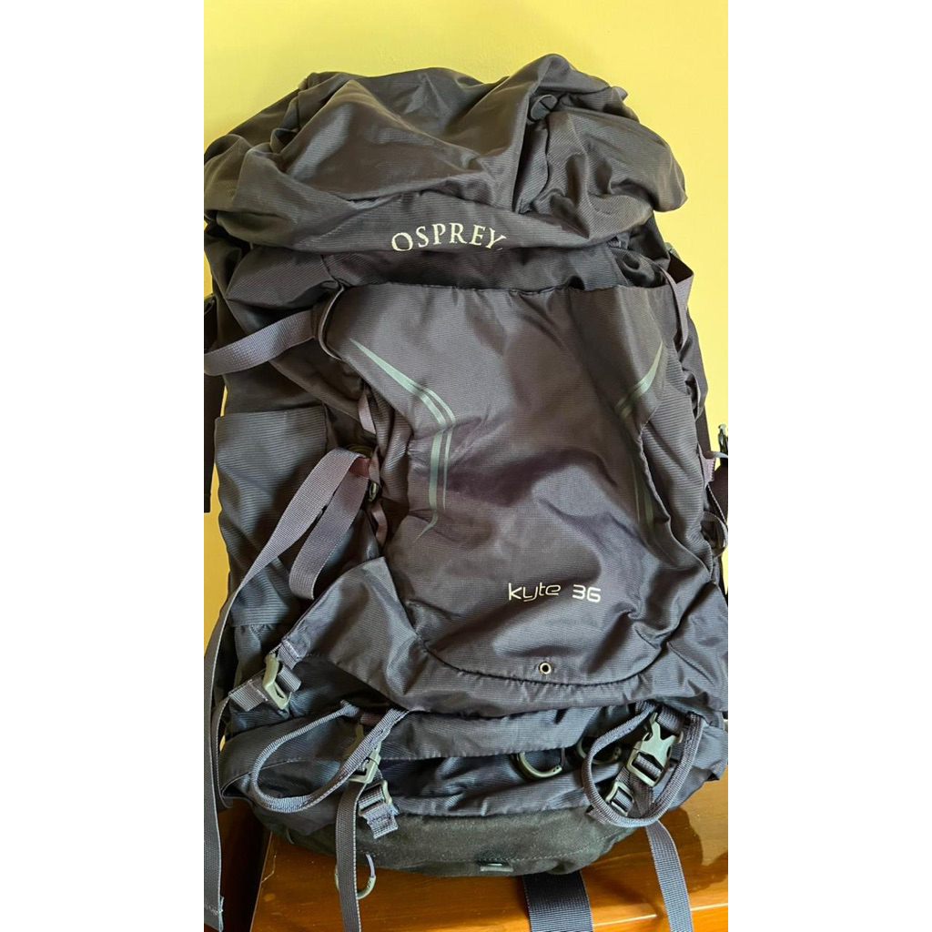 Carrier osprey kyte 36