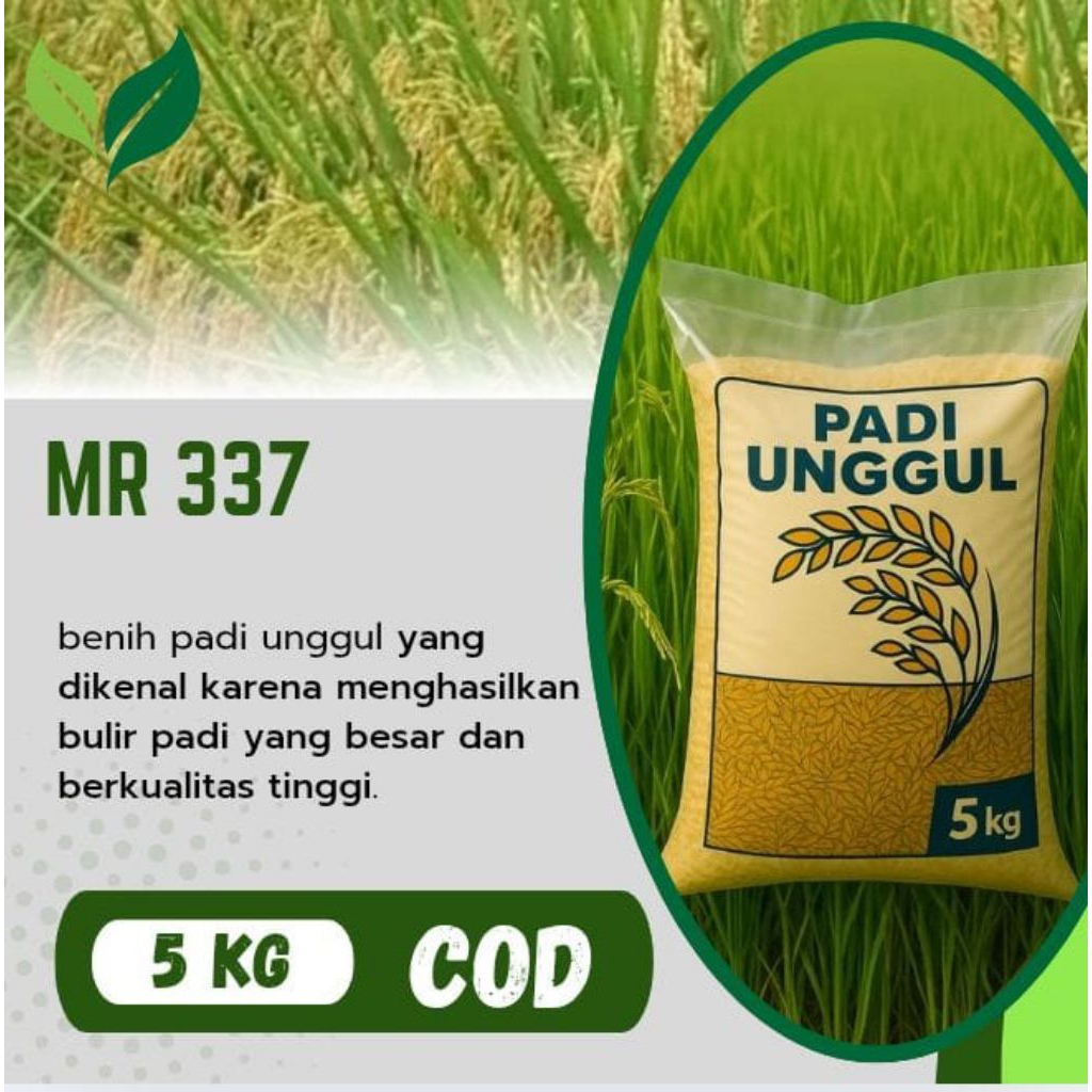 benih padi MR 337 kemasan 5 kg