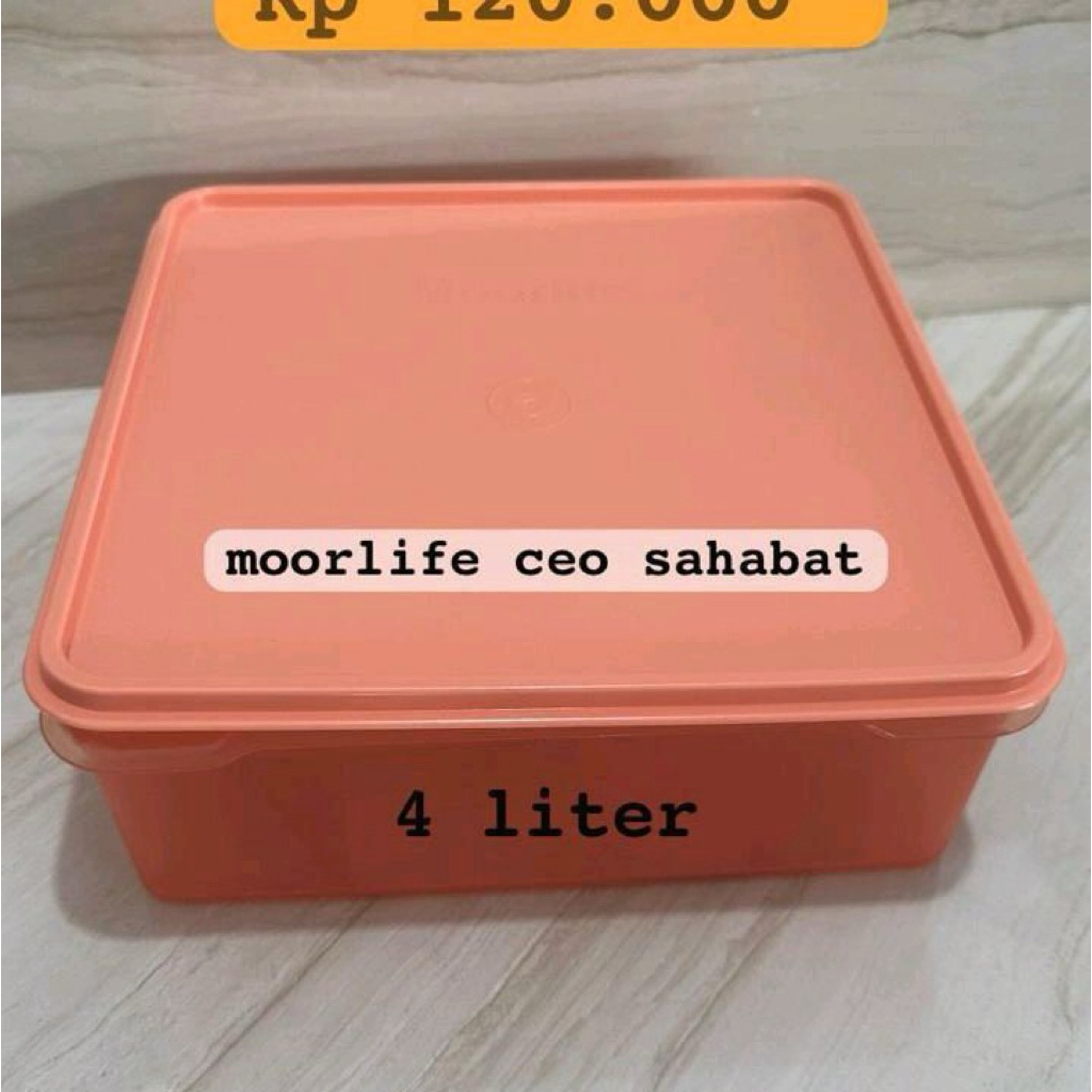 cassa tempat bolu moorlife