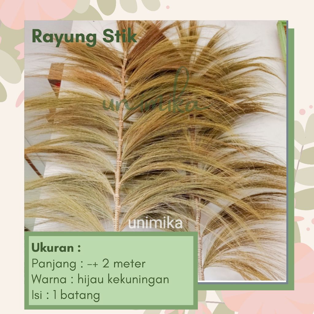 Rayung Stik | Dekorasi Rayung Kering tinggi 2 meter | Daun & Bunga Kering | Murah di Bali