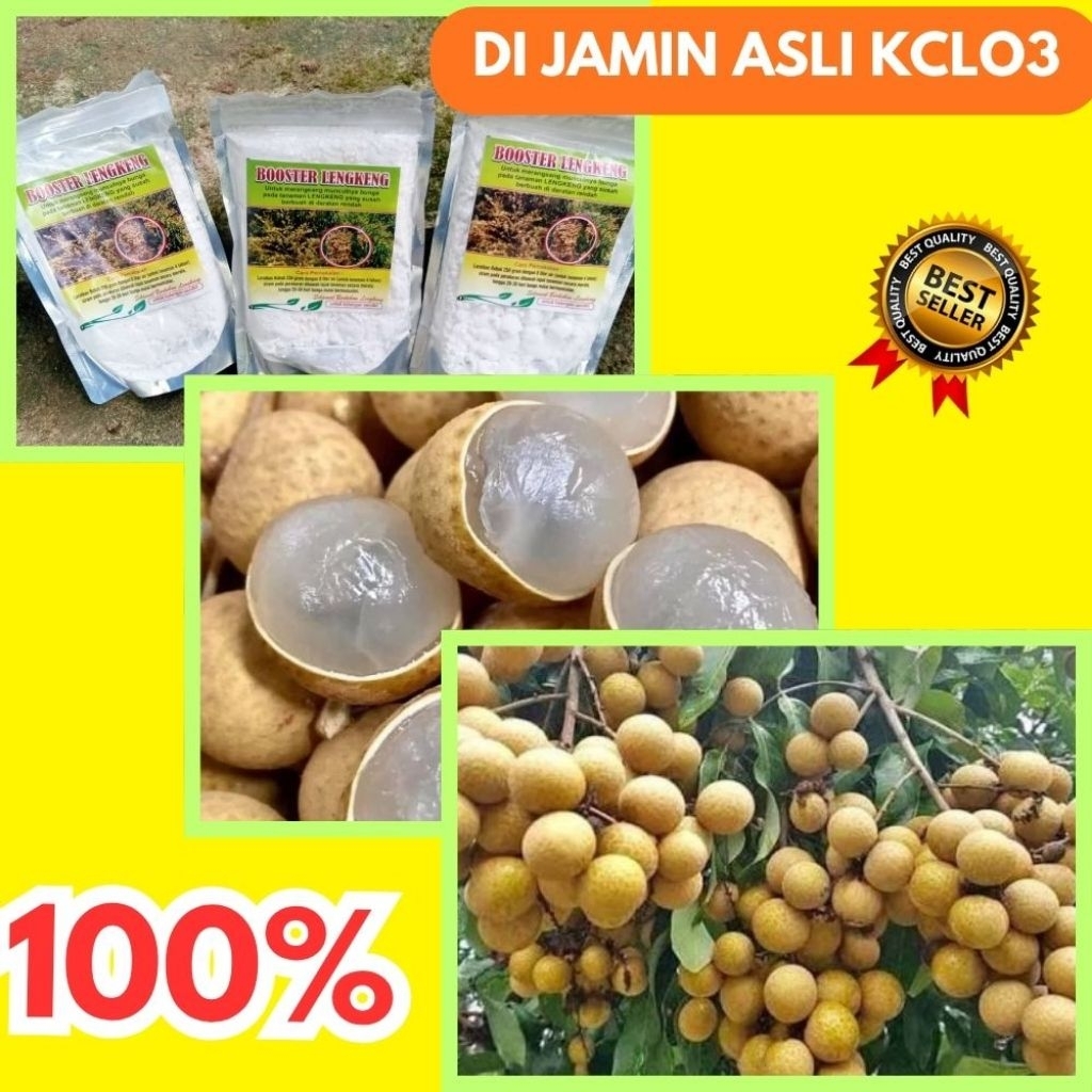 Booster Kelengkeng Buat Kelengkeng, Booster Kelengkeng Cair, Booster Kelengkeng Itoh