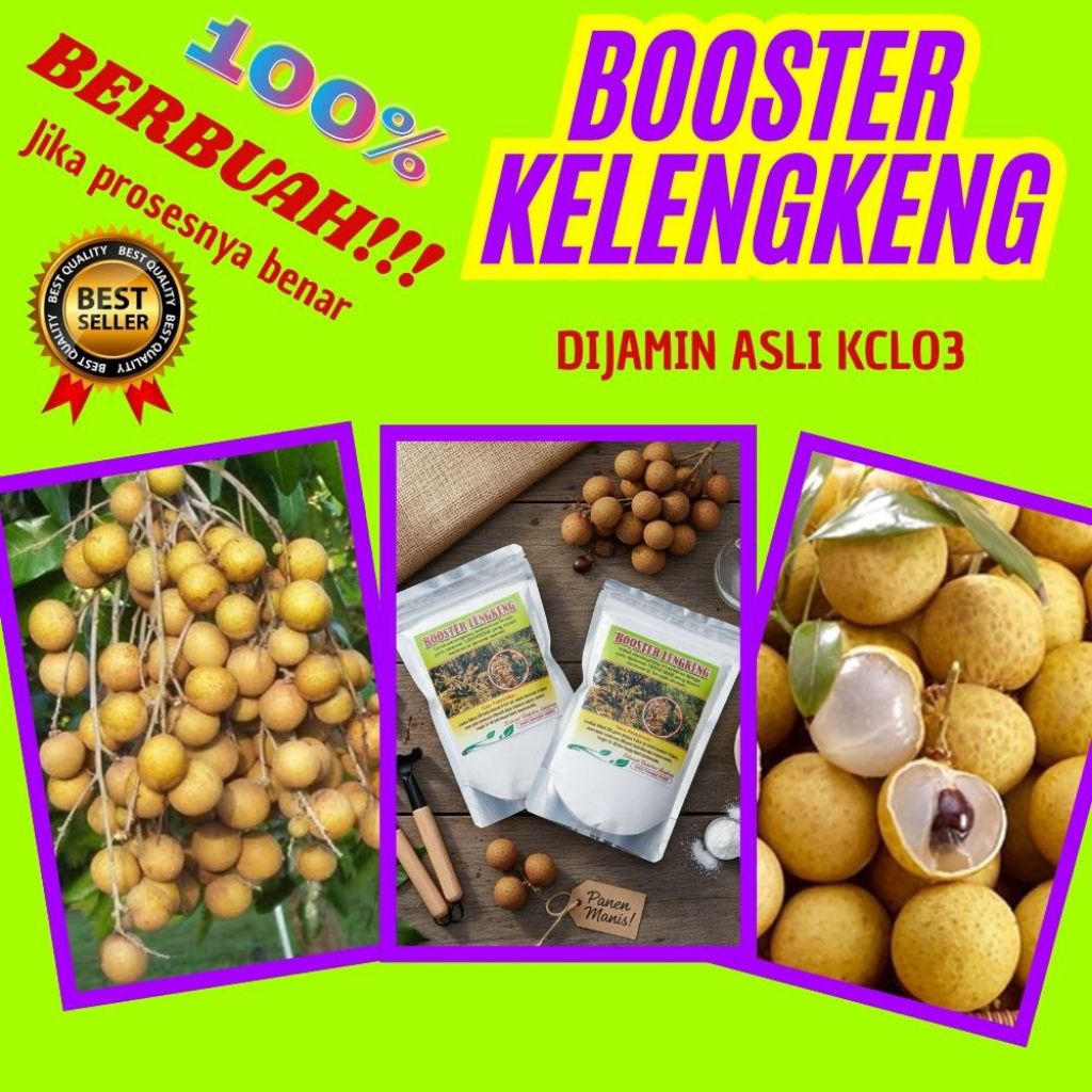 Booster Kelengkeng Murni 1 Kg, Booster Kelengkeng Kcl, Booster Kelengkeng Kclo3 Terdekat