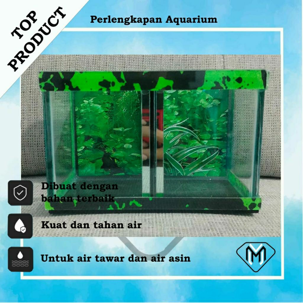 TANGKI AQUASCAPE IKAN HIAS / AQUARIUM MINIMALIS MURAH / AQUARIUM IKAN HIAS