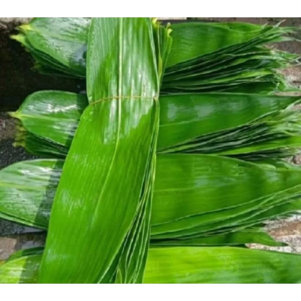 daun bambu untuk bungkus bacang 50 lembar
