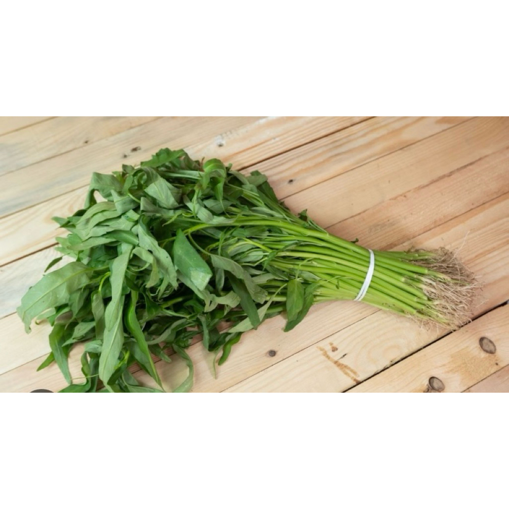 sayur kangkung/kangkung fresh/kangkung segar
