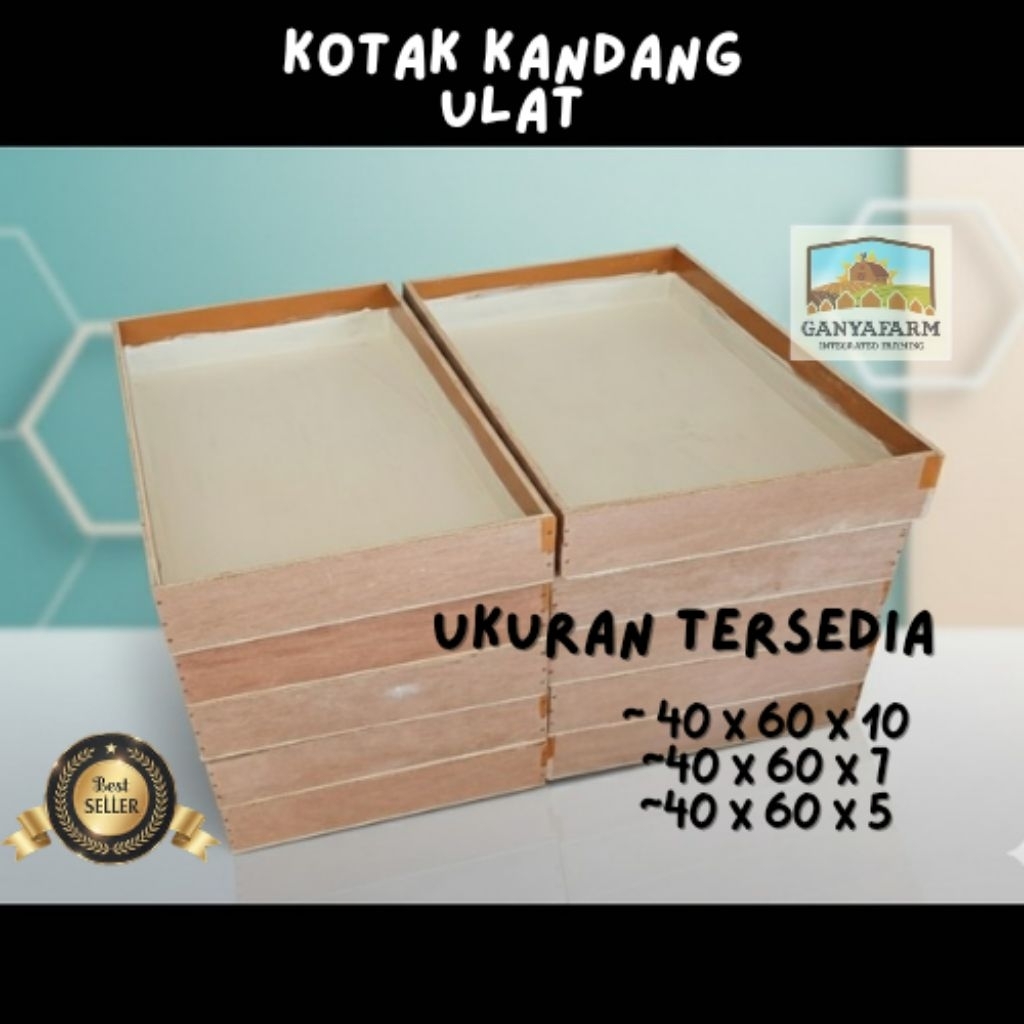 Kotak Kandang, Kotak Kayu / Tempat Ulat jerman / Ulat Hongkong Ulat Kandang