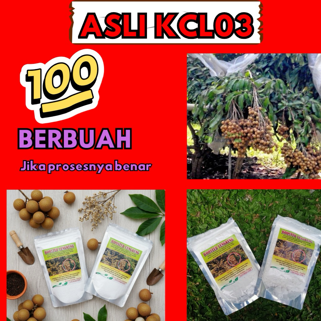 Boster Kelengkeng Kclo3