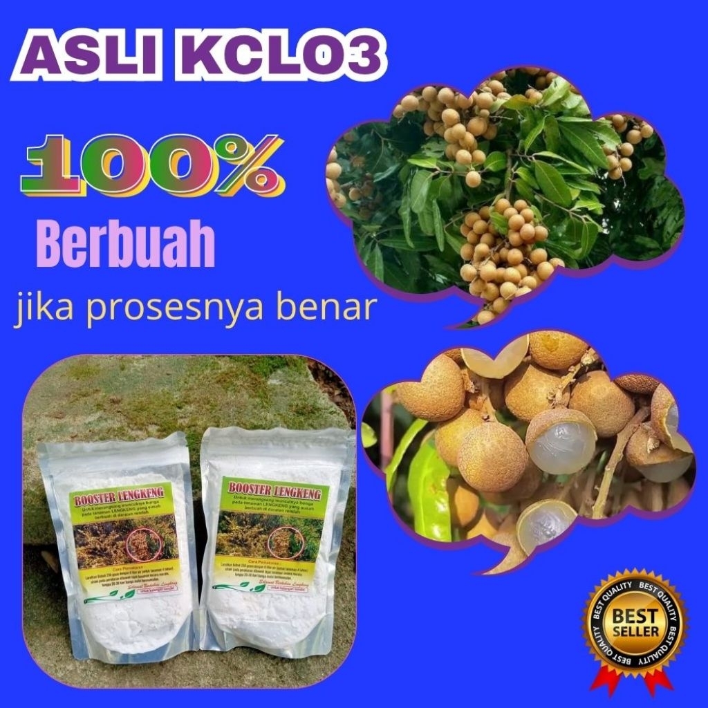 Booster Kelengkeng Terbaik, Booster Kelengkeng Terdekat