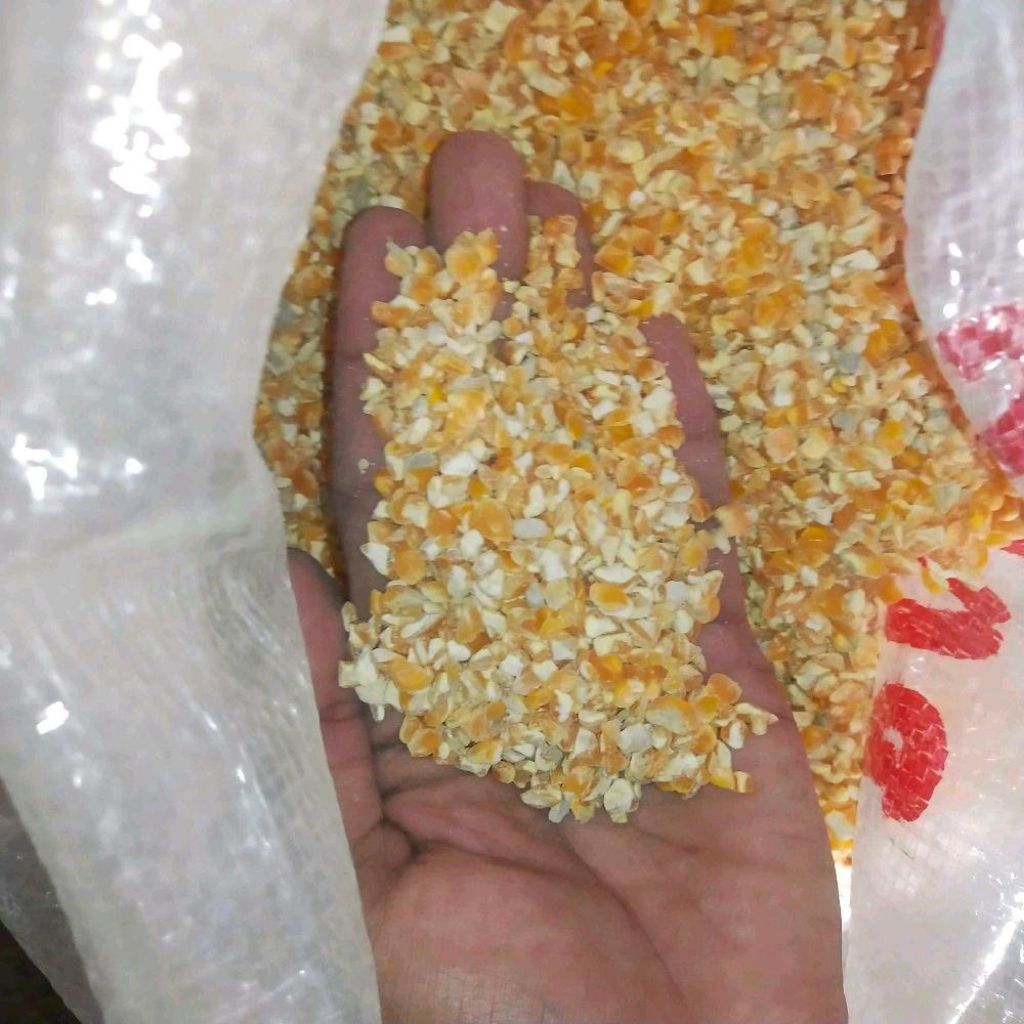 Jagung Pecah Poles 25KG Pakan Ternak