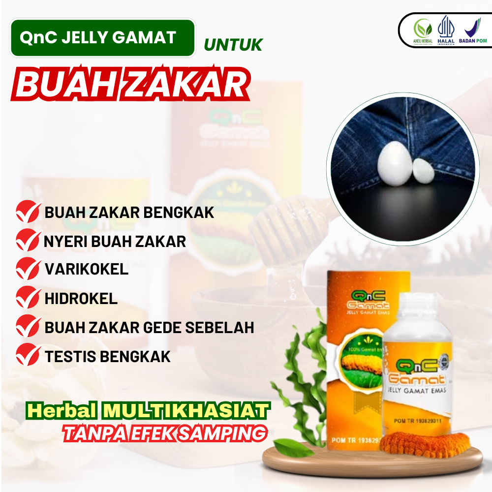 QnC JELLY GAMAT Atasi Buah Zakar Bengkak Varikokel Sakit Buah Zakar Testis Bengkak Sebelah Buah Zaka
