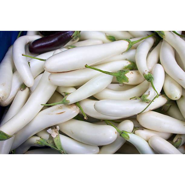 COD - Bibit Terong Putih Panjang