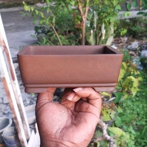 pot bonsai mame 14cm pot bonsai mame halus murah
