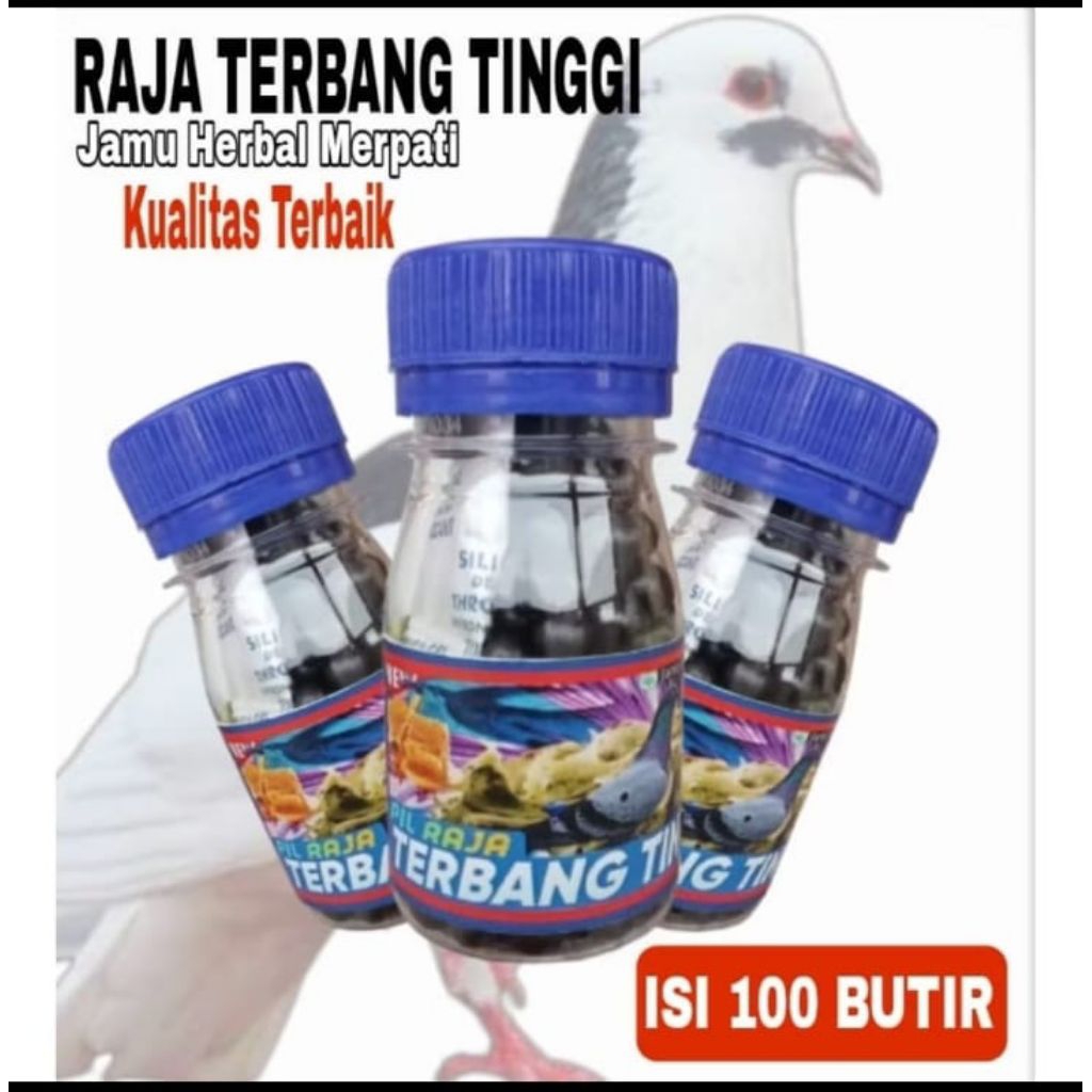 JAMU MERPATI TERBANG TINGGI keket giring stut door buktikan khasiatnya Raja Doping Merpati Tinggi  j
