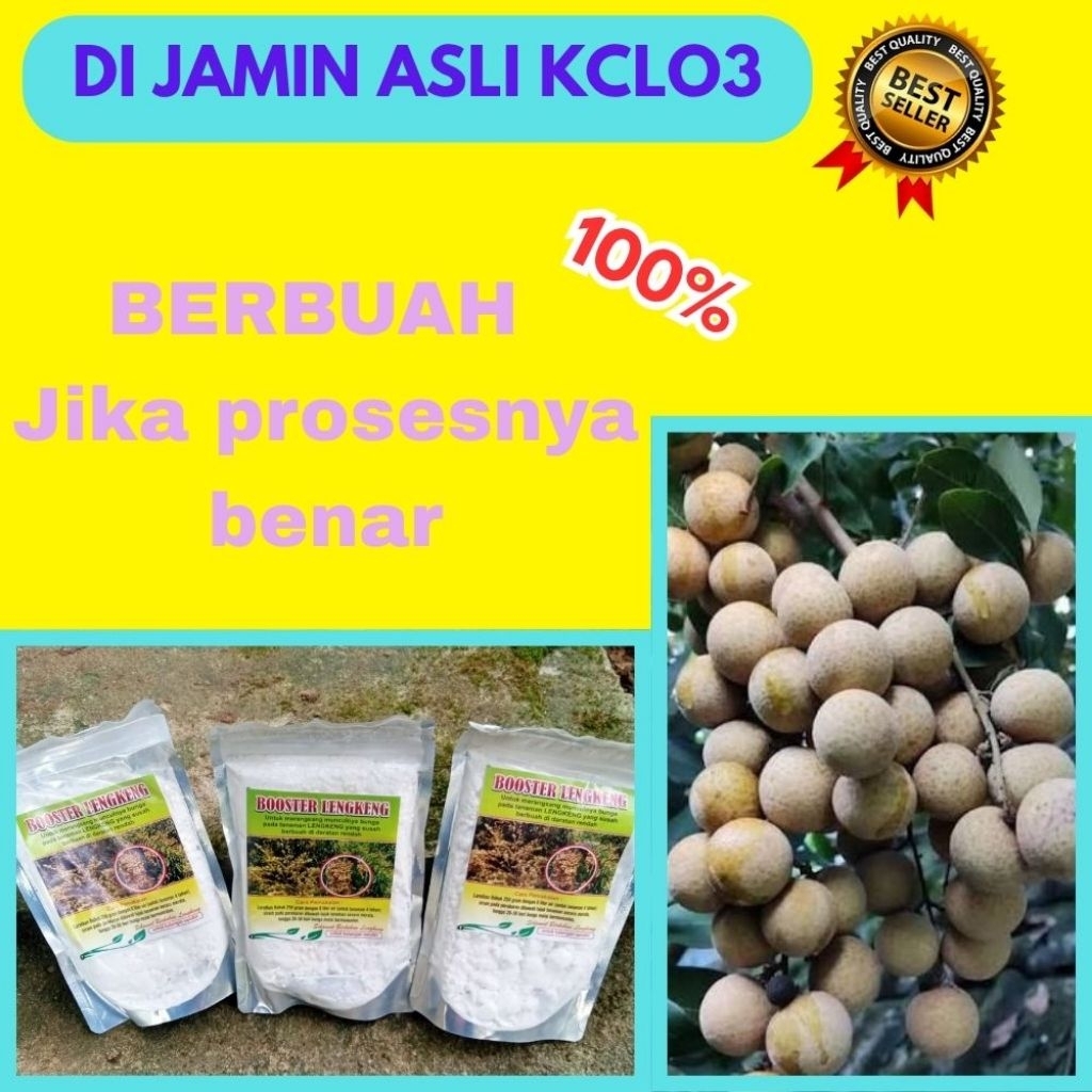 Pupuk Kelengkeng Kclo3