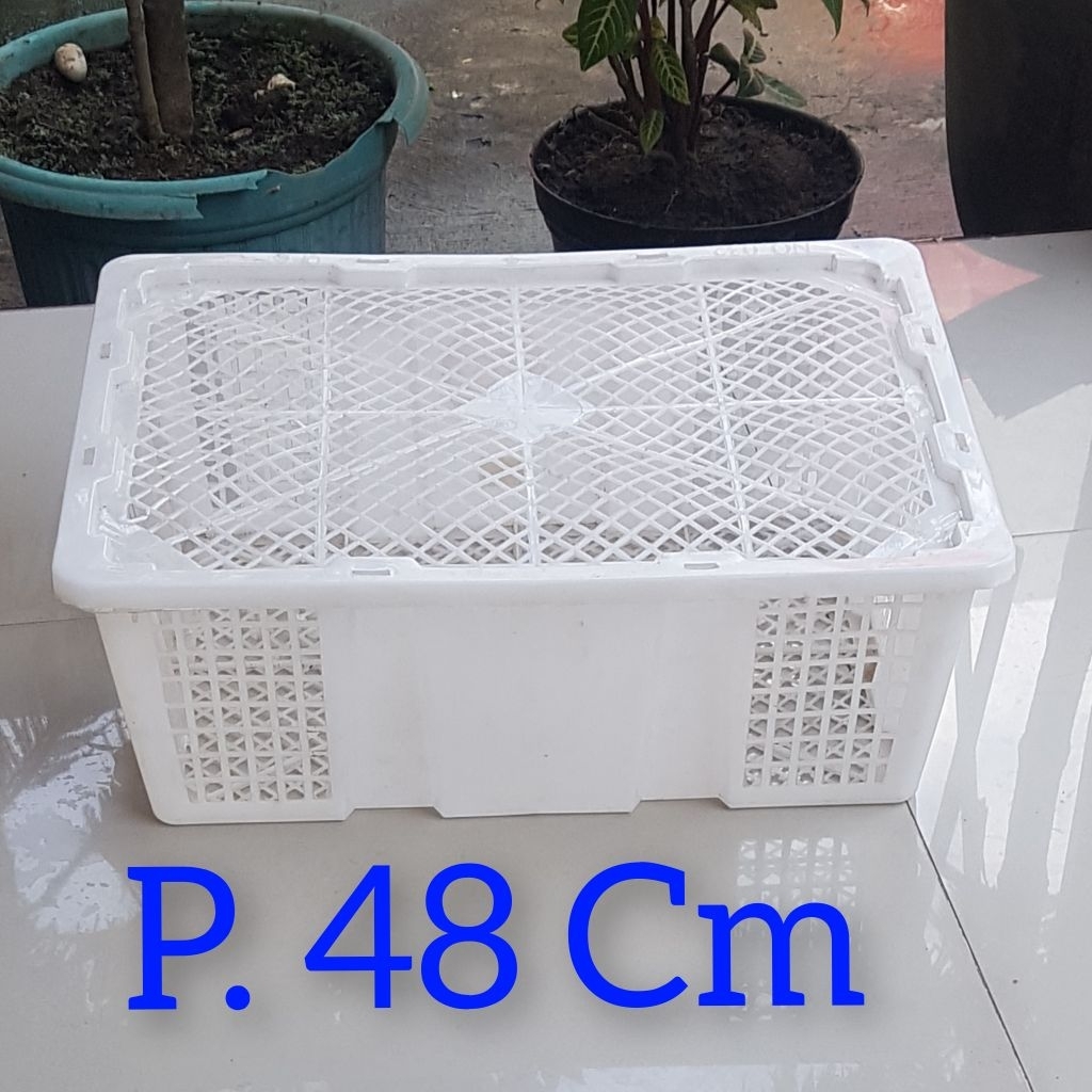 Keranjang Buah,Keranjang Buah Kelengkeng, Keranjang Kelengkeng